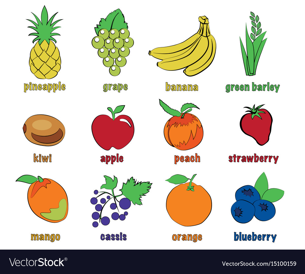 Fruits Royalty Free Vector Image - VectorStock