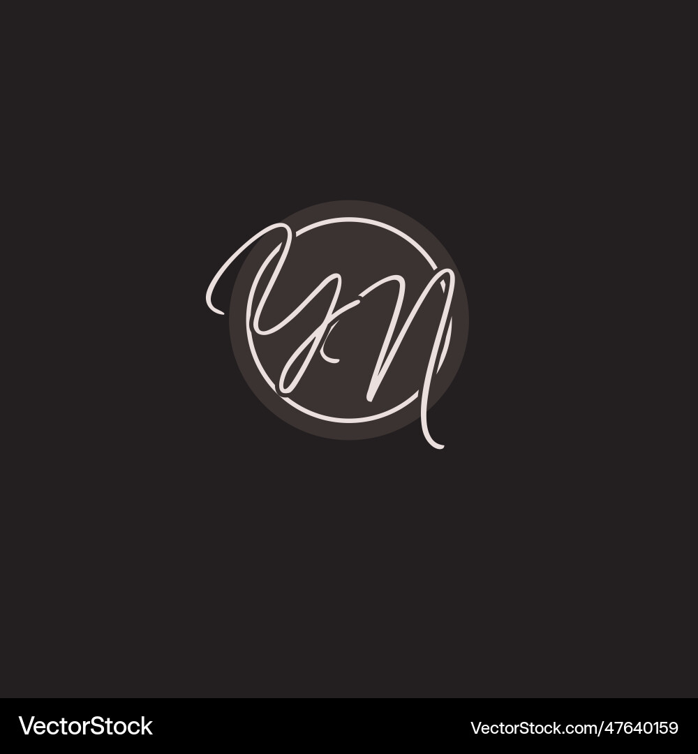 Initials yn logo monogram with simple circle line Vector Image