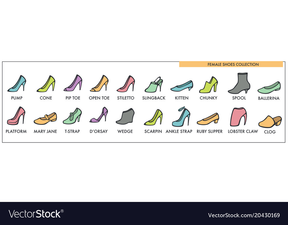 Female Shoes Collection Of All Designs And Models Vector Image