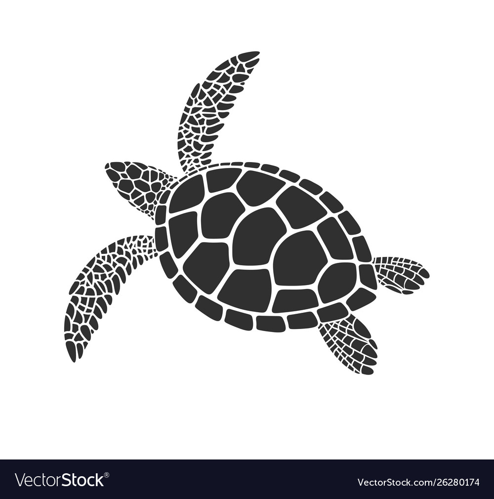 Sea turtle Royalty Free Vector Image - VectorStock