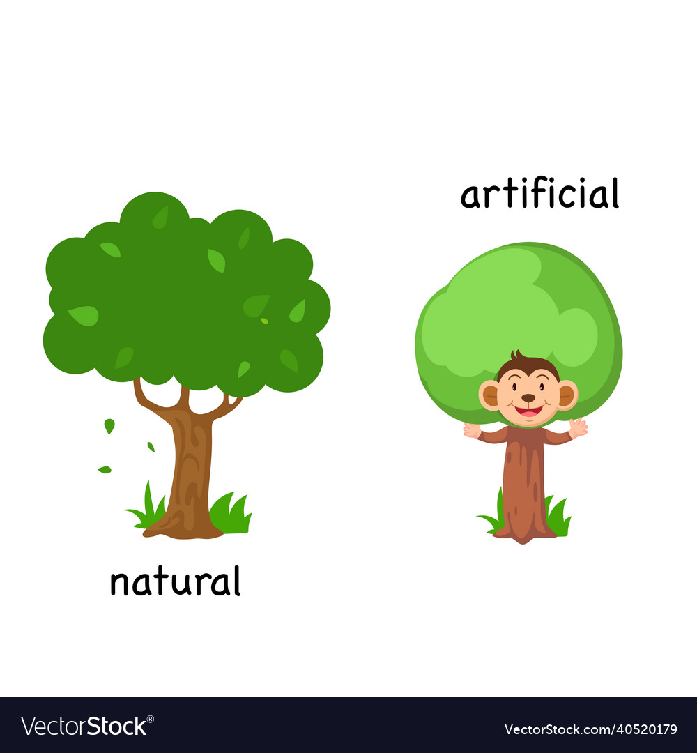 opposite-natural-and-artificial-royalty-free-vector-image