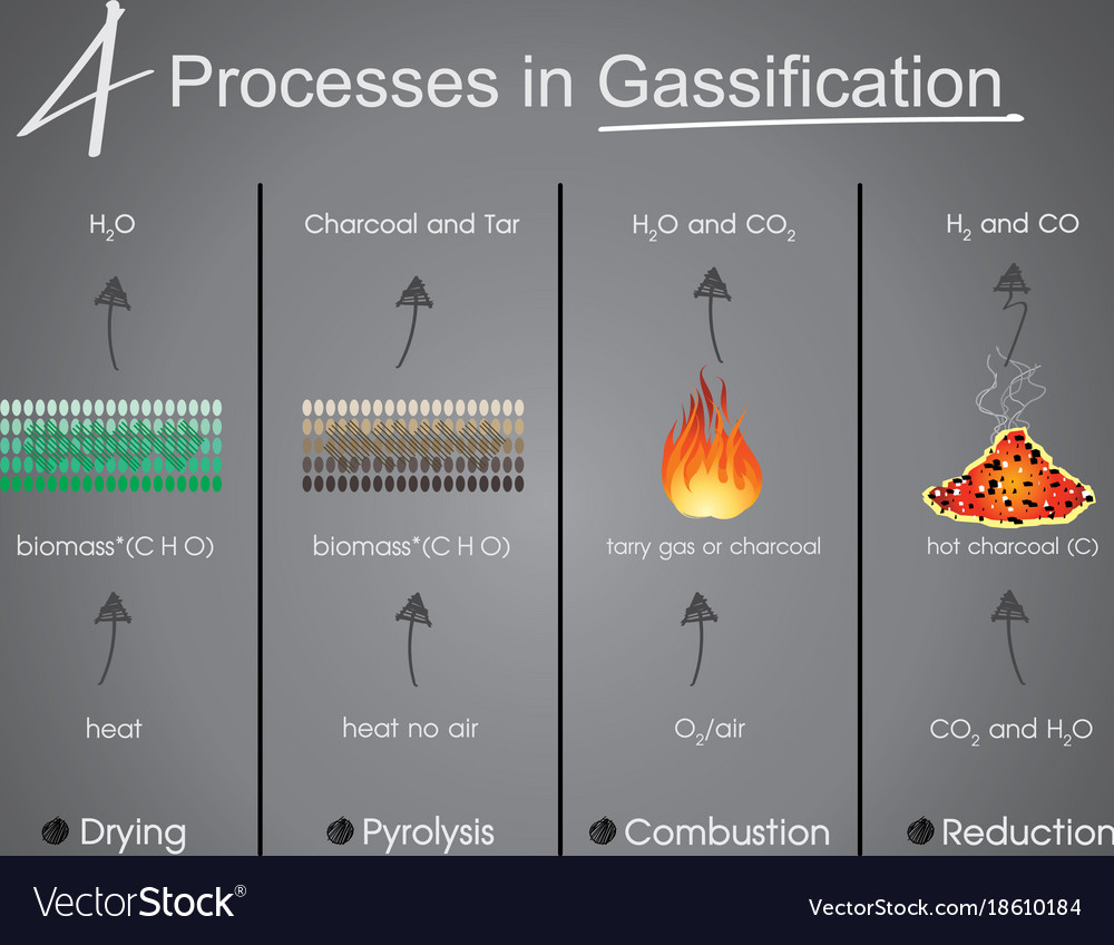 Processes in gasification drying pyrolysis Vector Image