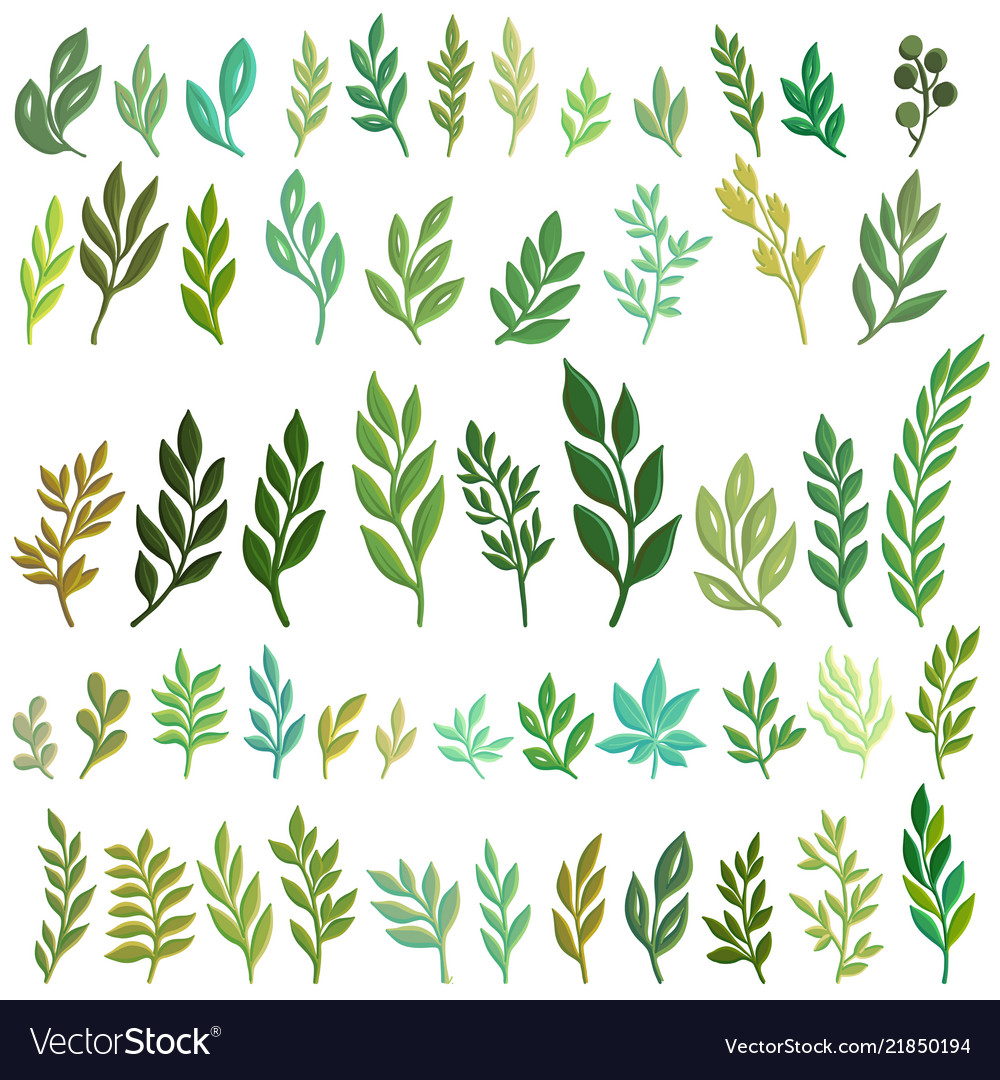 drawing green leaves vector 21850194