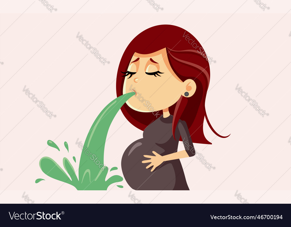 Pregnant Woman Feeling Sick Vomiting Cartoon Vector Image