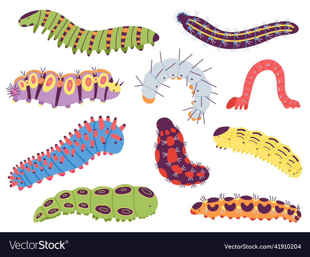 Spring caterpillars cartoon insect caterpillar Vector Image