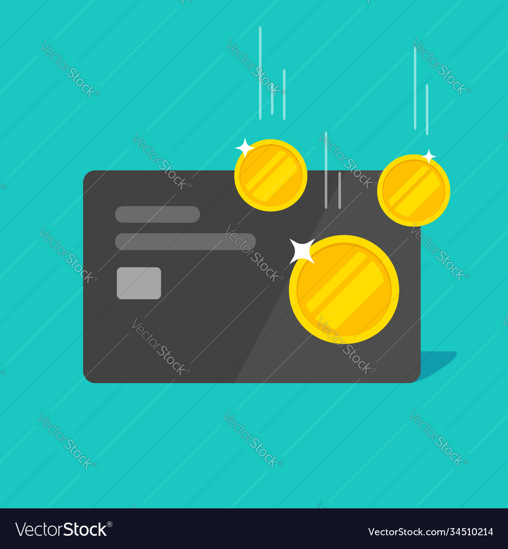 Cash back money bonus or reward income on credit Vector Image