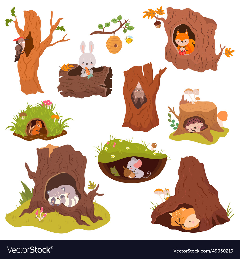 Animals sleep in holes cute cartoon animal Vector Image