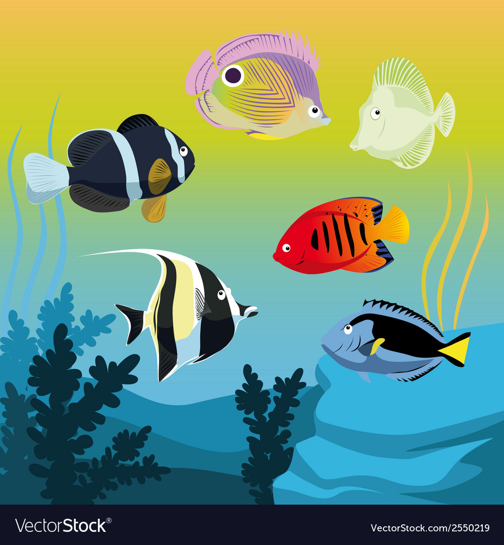 Colorful fishes Royalty Free Vector Image - VectorStock