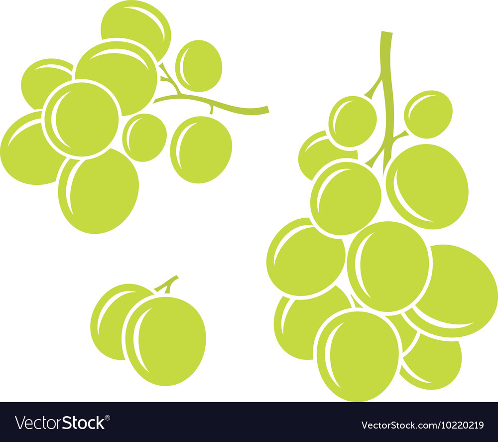 Green grapes Royalty Free Vector Image - VectorStock