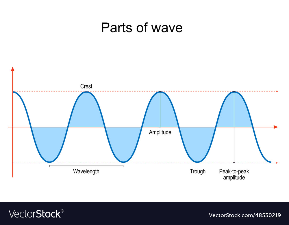 Parts of wave Royalty Free Vector Image VectorStock