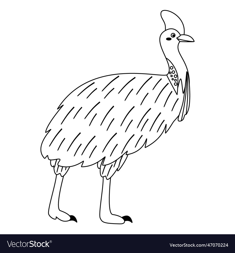 Cute cartoon cassowary bird line art Royalty Free Vector