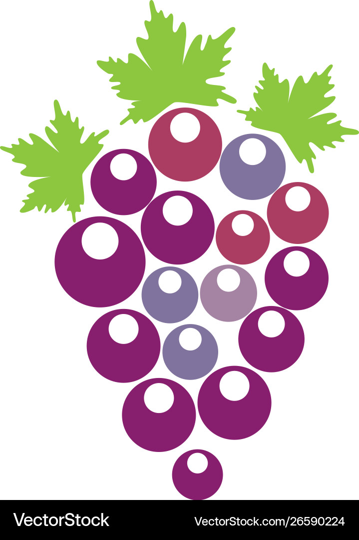 Grape with leaf icon Royalty Free Vector Image