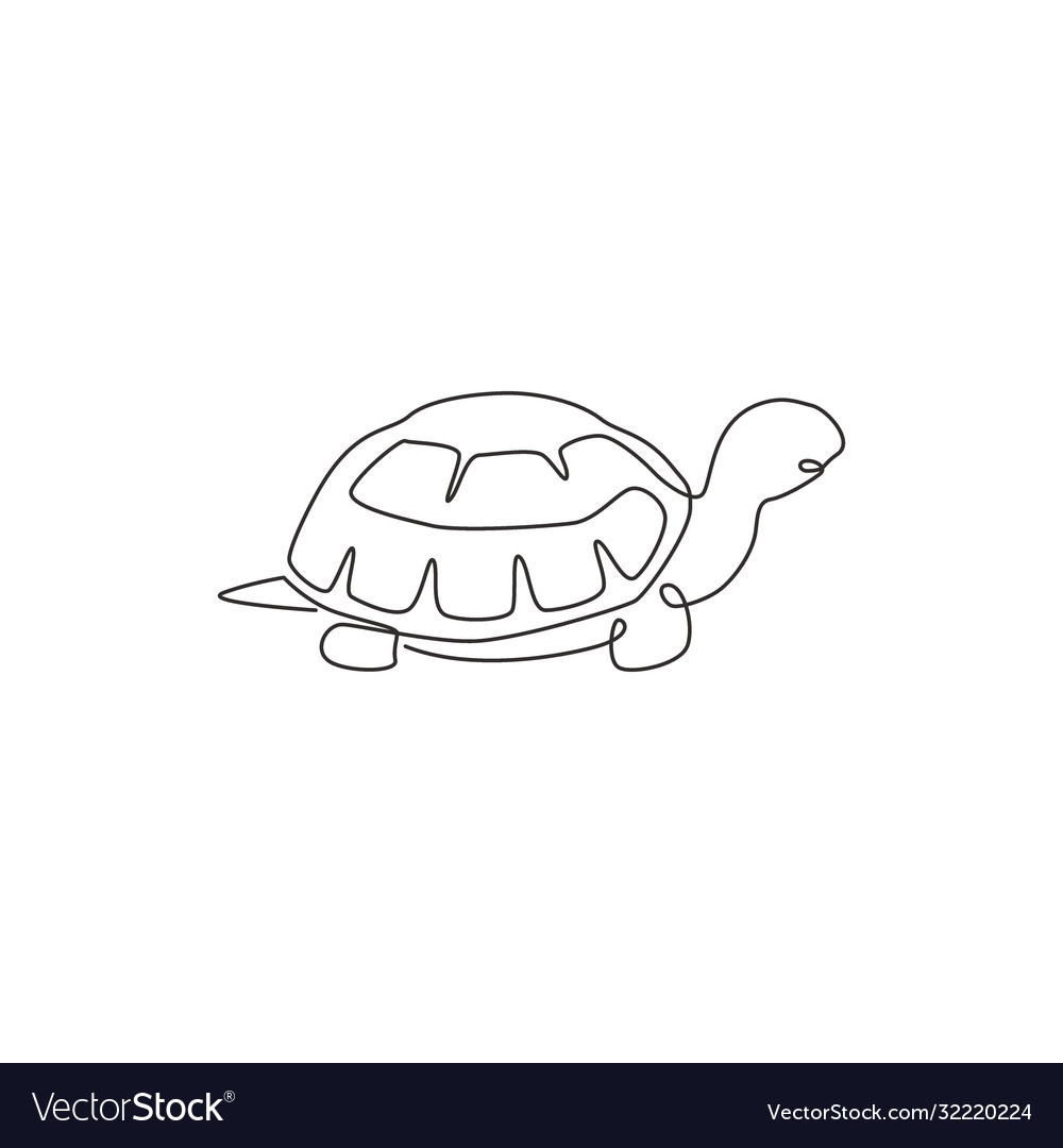 One single line drawing big land tortoise Vector Image