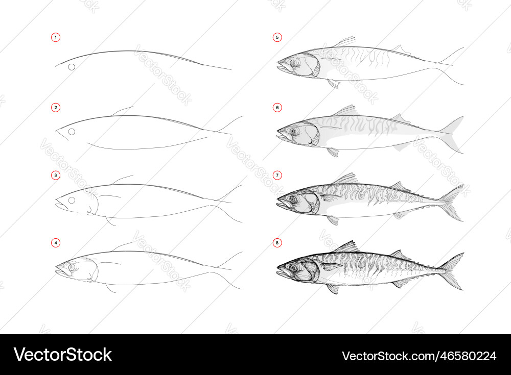 Page shows how to learn to draw sketch a fish Vector Image