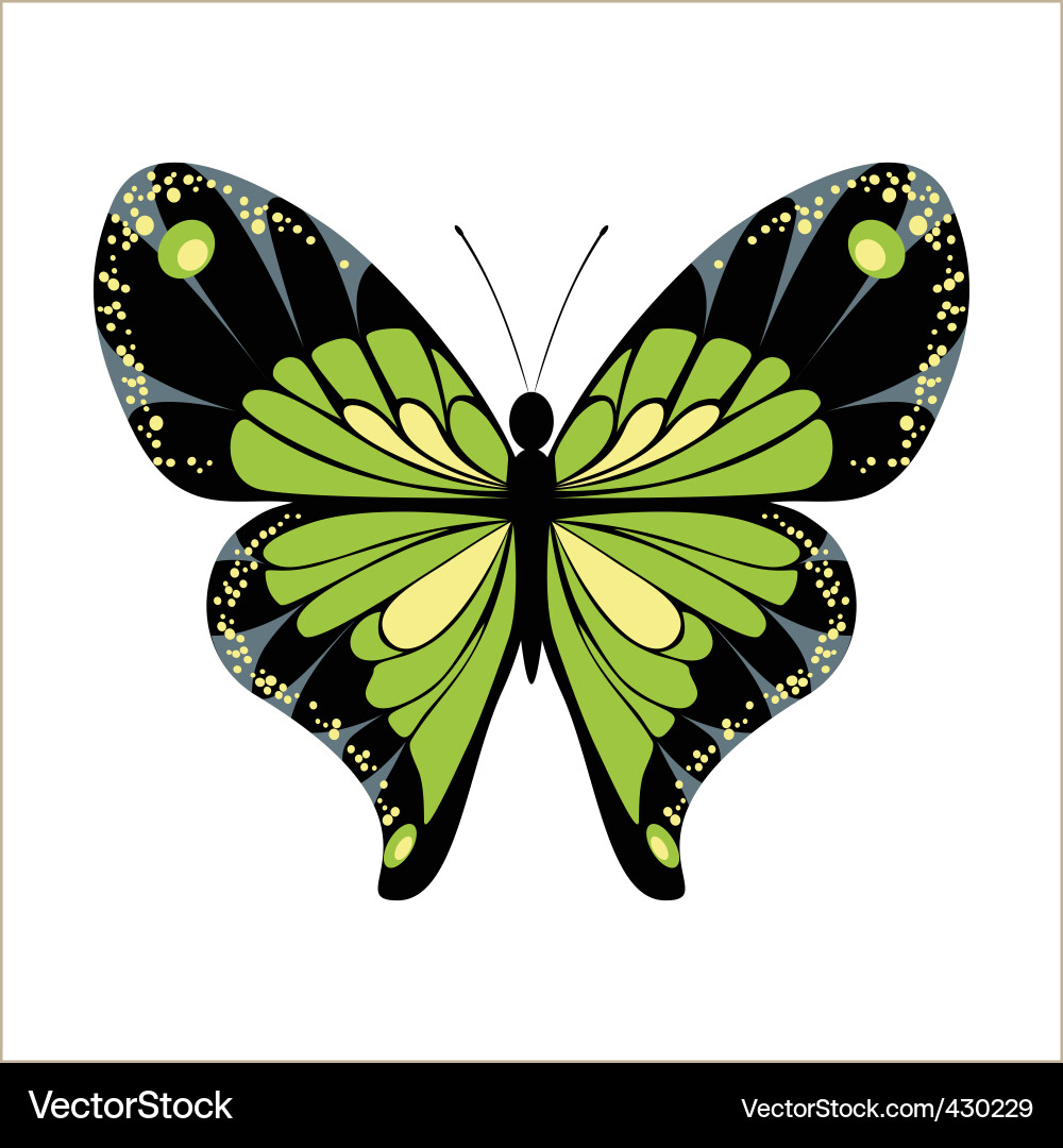 Butterfly Royalty Free Vector Image - VectorStock