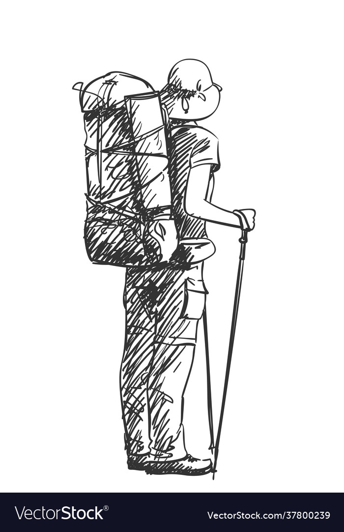 Drawing girl backpacker hiking view from back vector image Drawing girl backpacker hiking view from back