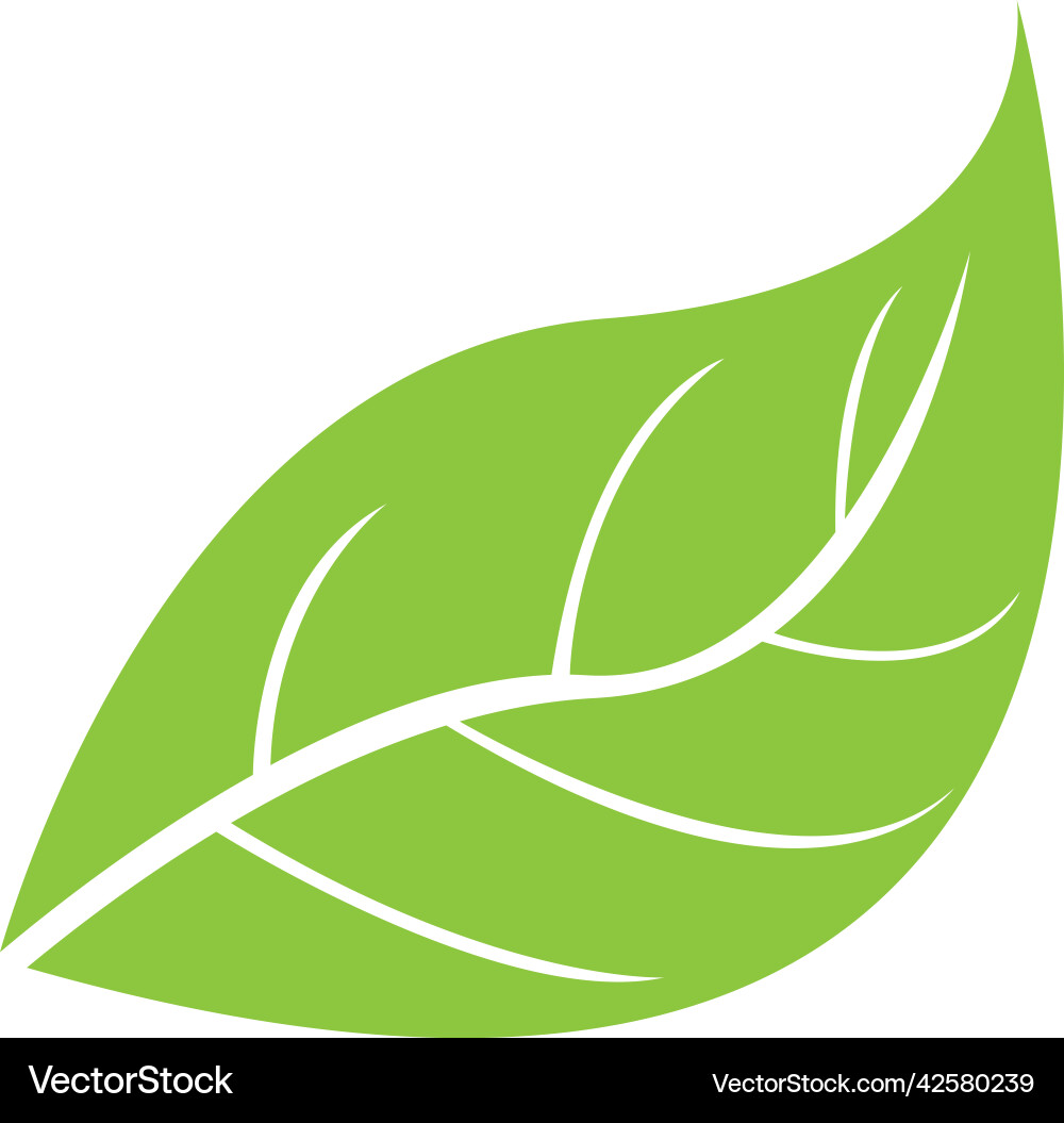 Leaf logo Royalty Free Vector Image - VectorStock