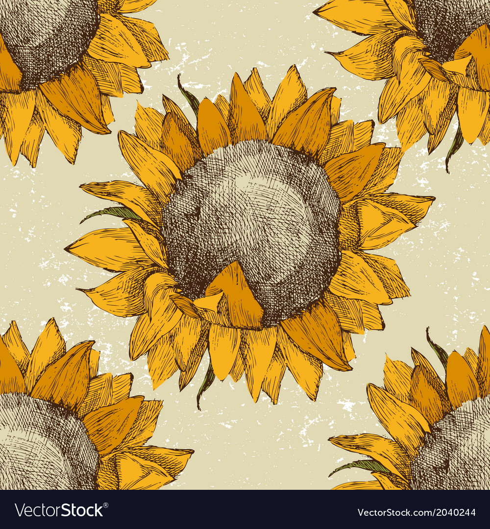 Sunflower Seamless Royalty Free Vector Image Vectorstock