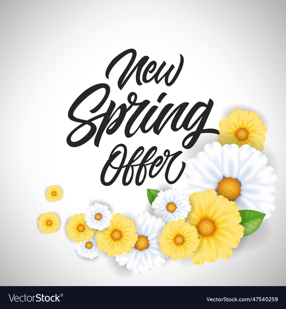 Spring offer brochure design with flowers Vector Image