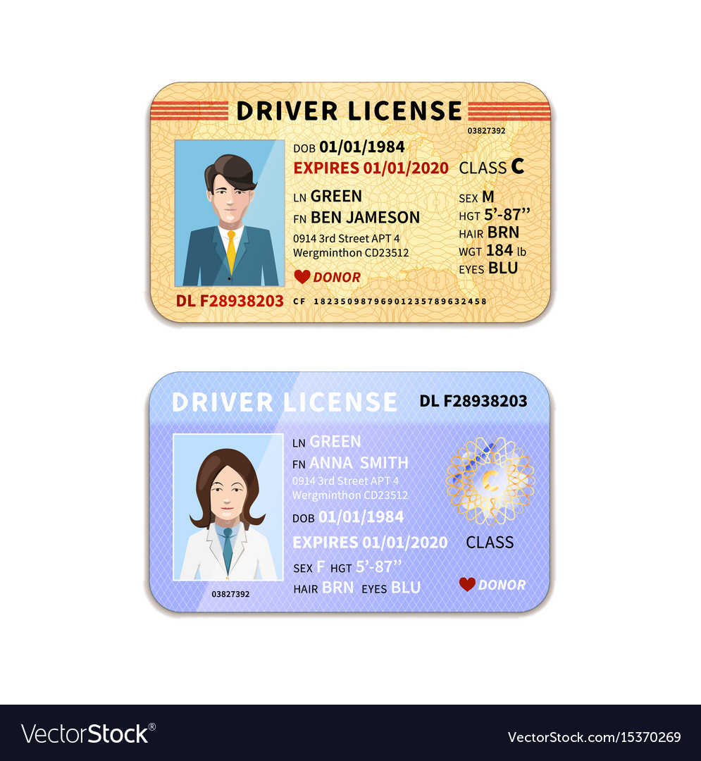 Different car driver licenses with photo on white Vector Image