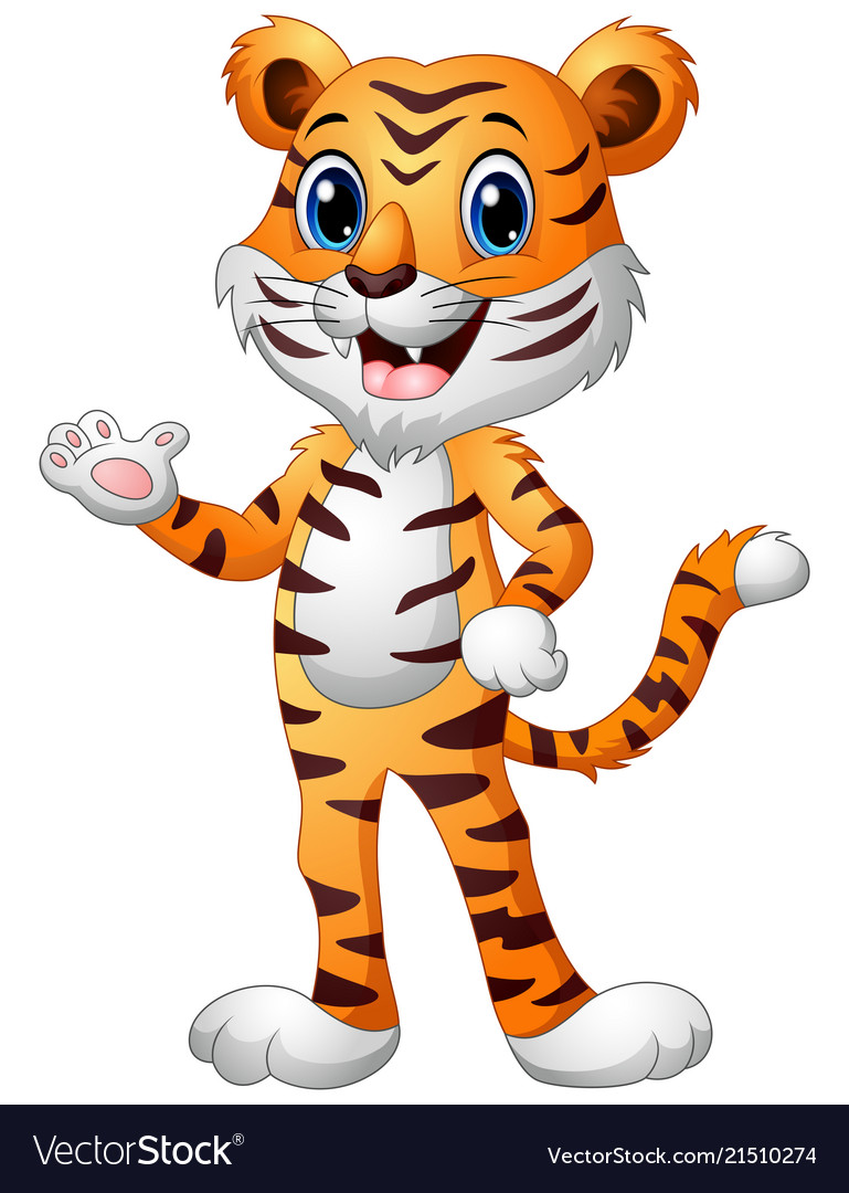 funny tiger cartoon