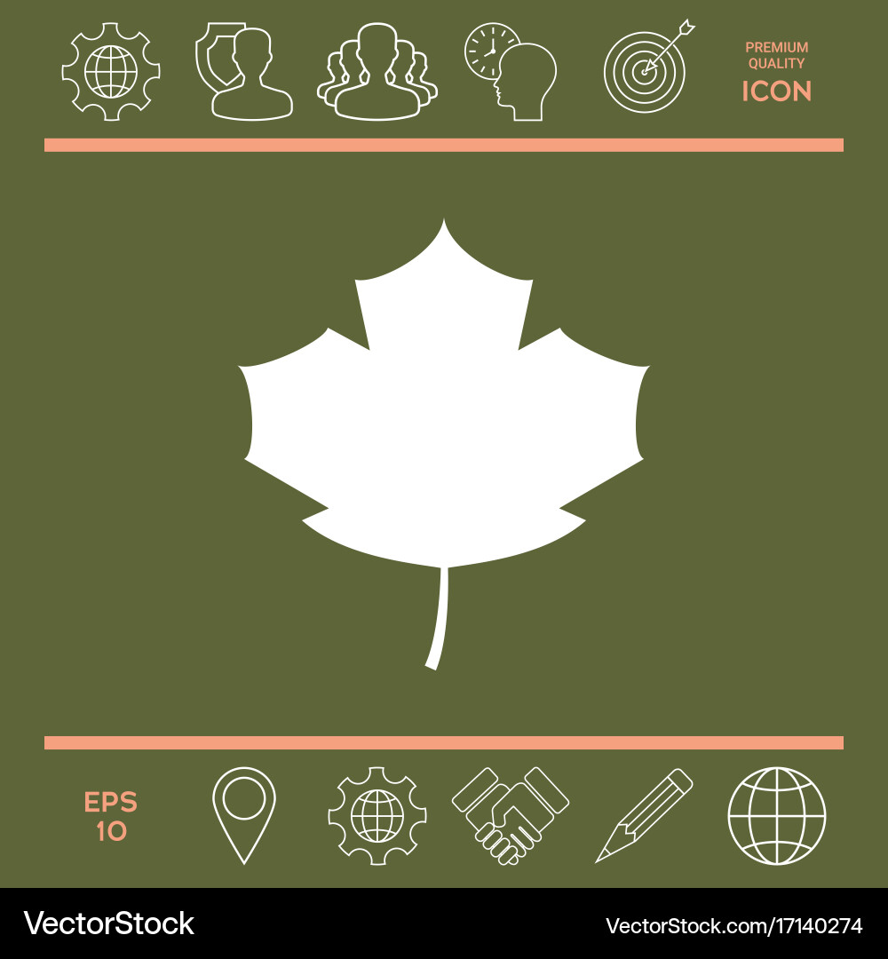 Maple leaf icon Royalty Free Vector Image - VectorStock