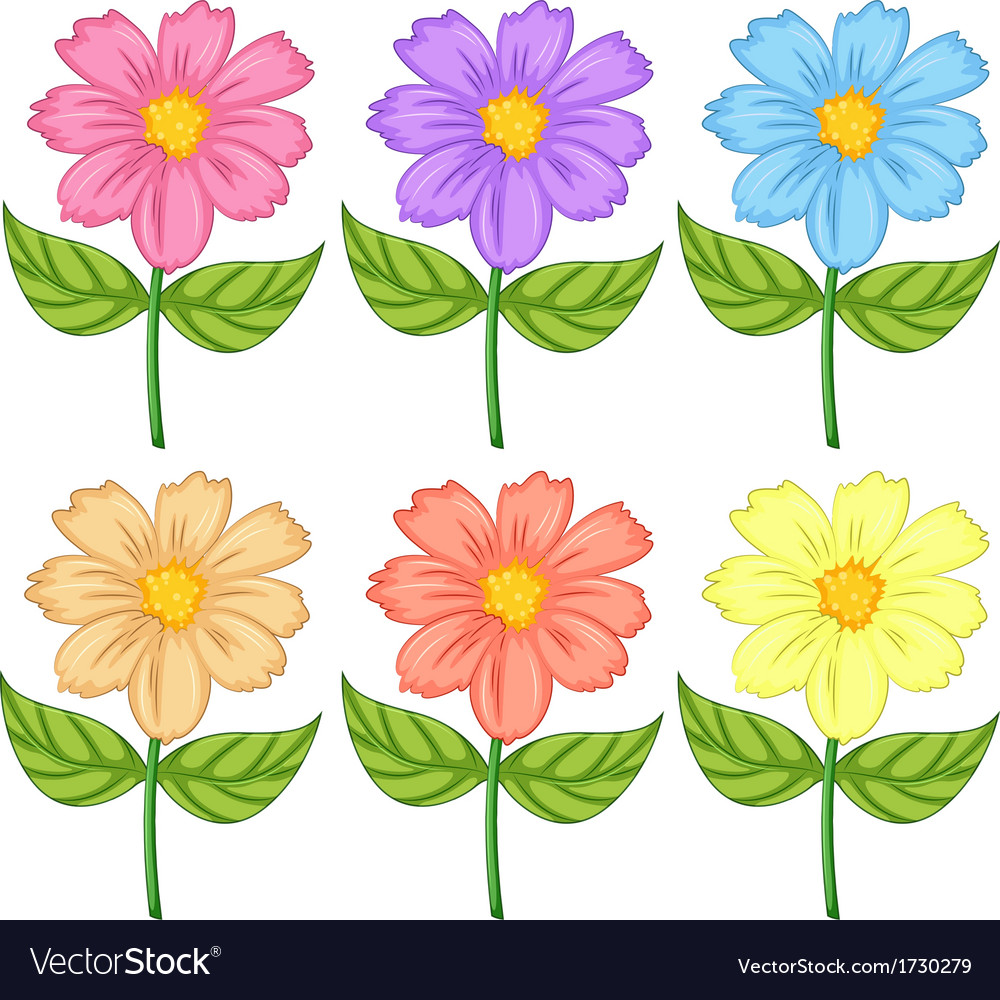 Six colorful flowers Royalty Free Vector Image