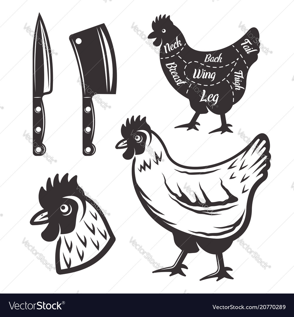 Chicken butchery objects or design elements vector image Chicken butchery objects or design elements