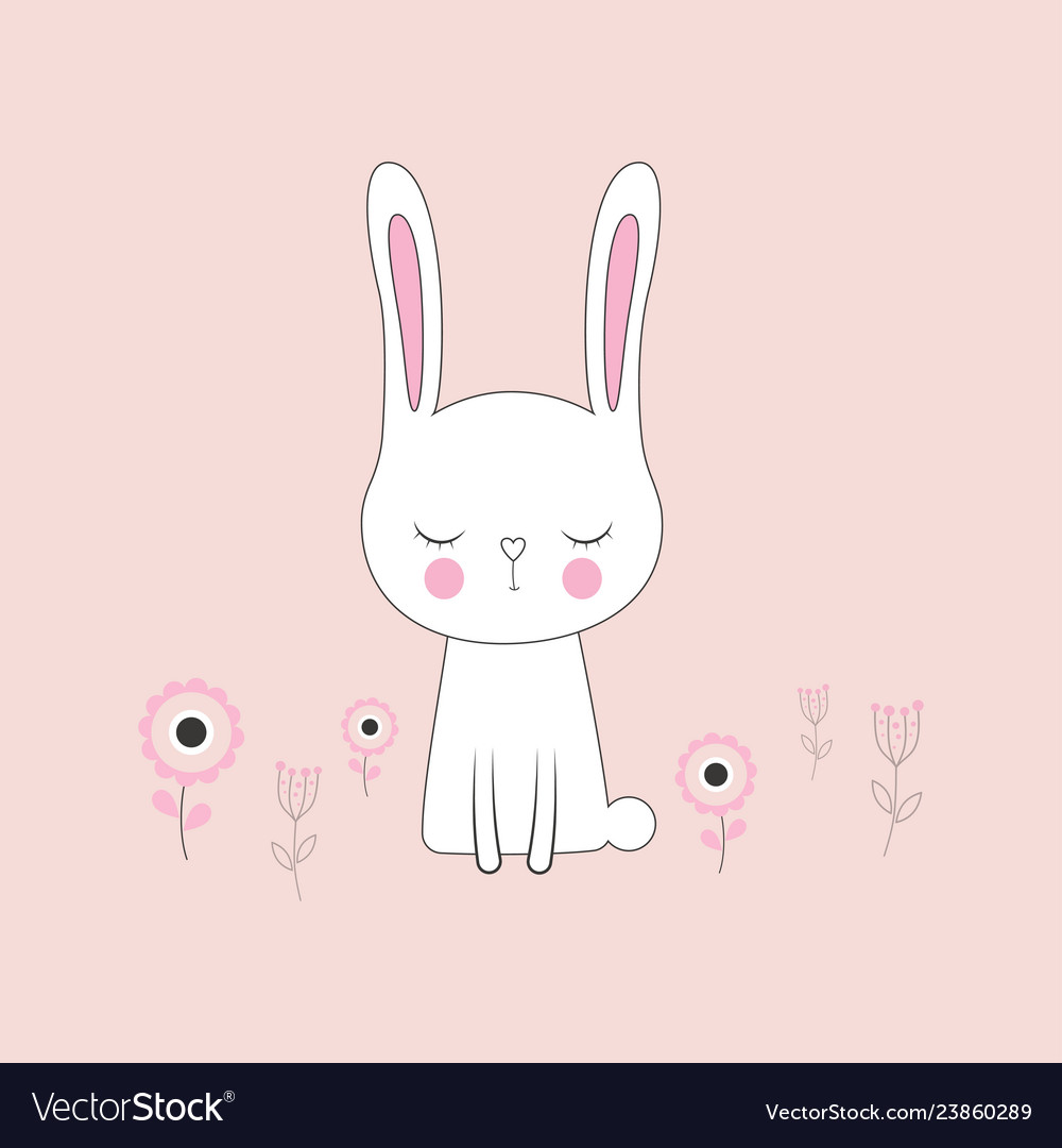 Cute bunny rabbit