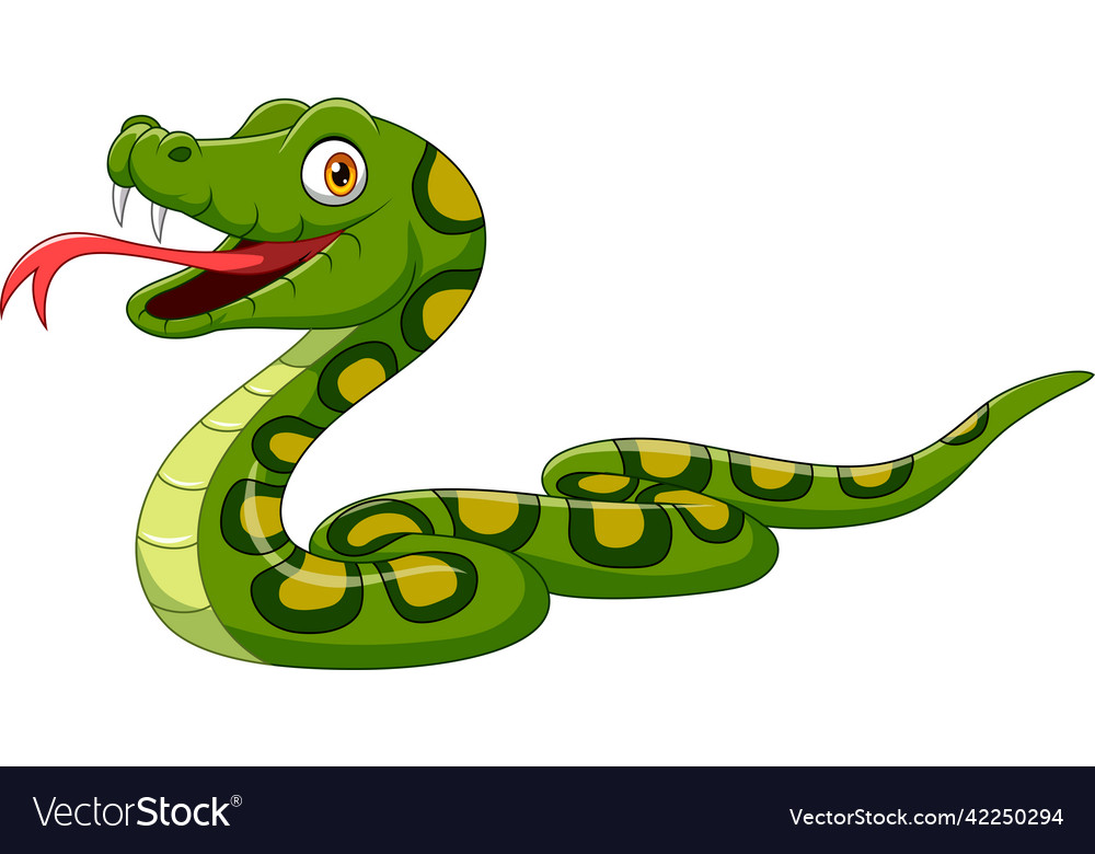 Cartoon green snake on white background Royalty Free Vector