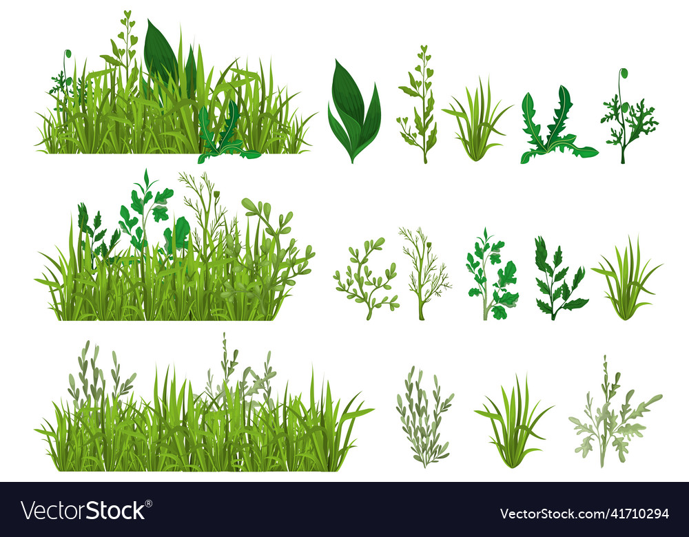 Green grass realistic set Royalty Free Vector Image