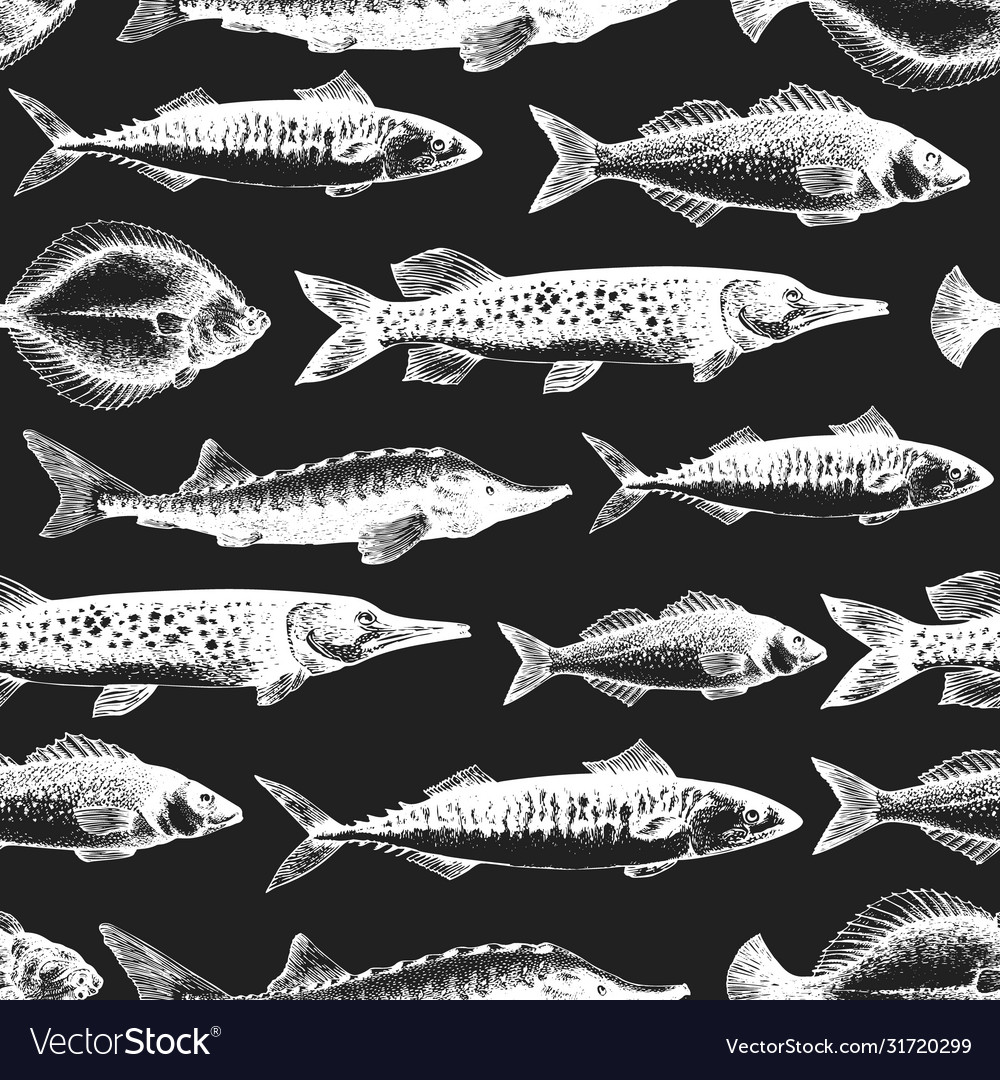 Hand drawn fish seamless pattern seafood on chalk Vector Image