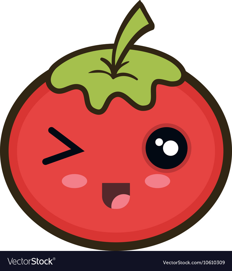 Red tomato vegetable Royalty Free Vector Image