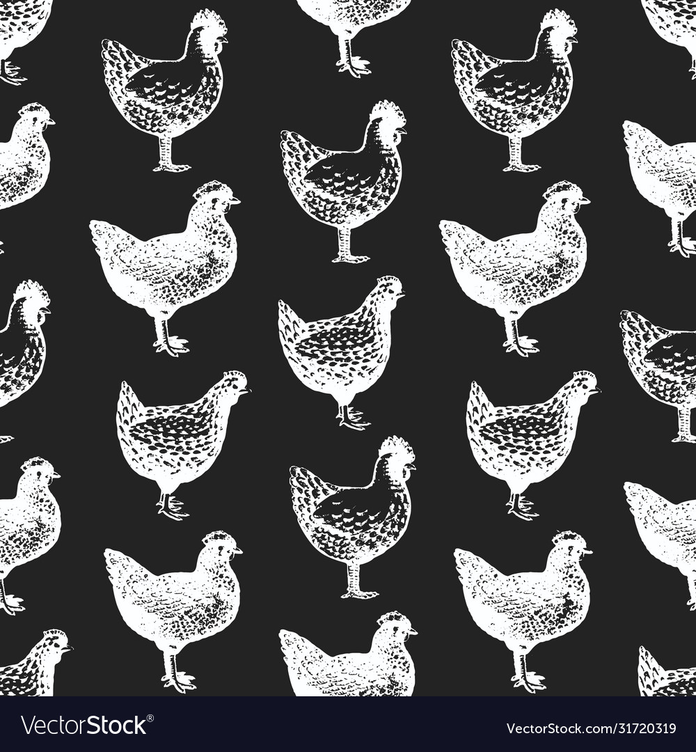 Hand drawn poultry seamless pattern chicken Vector Image