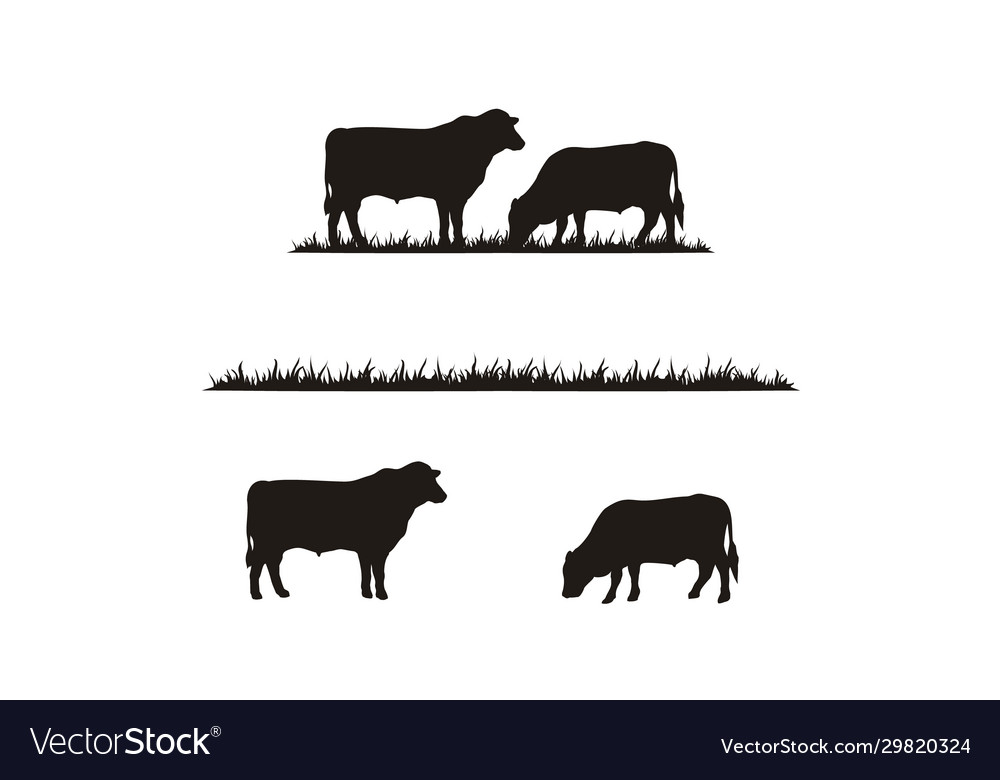 Cattle angus cow grass livestock farm logo vector image Cattle angus cow grass livestock farm logo