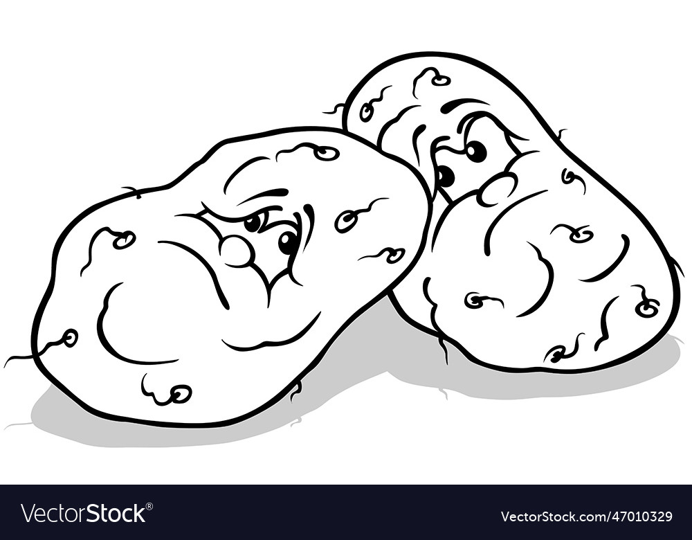 Drawing of two grumpy potatoes Royalty Free Vector Image