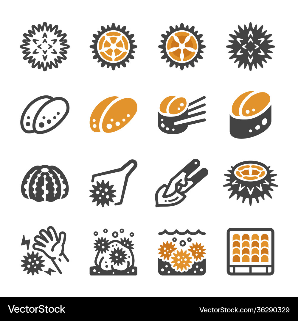 Sea Urchin Icon Set Royalty Free Vector Image Vectorstock