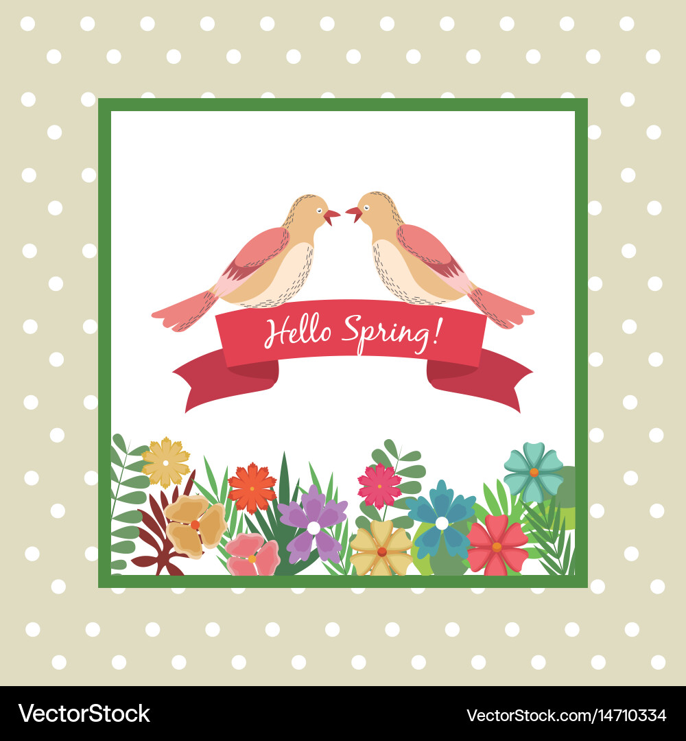Hello spring greeting card couple bird ribbon Vector Image