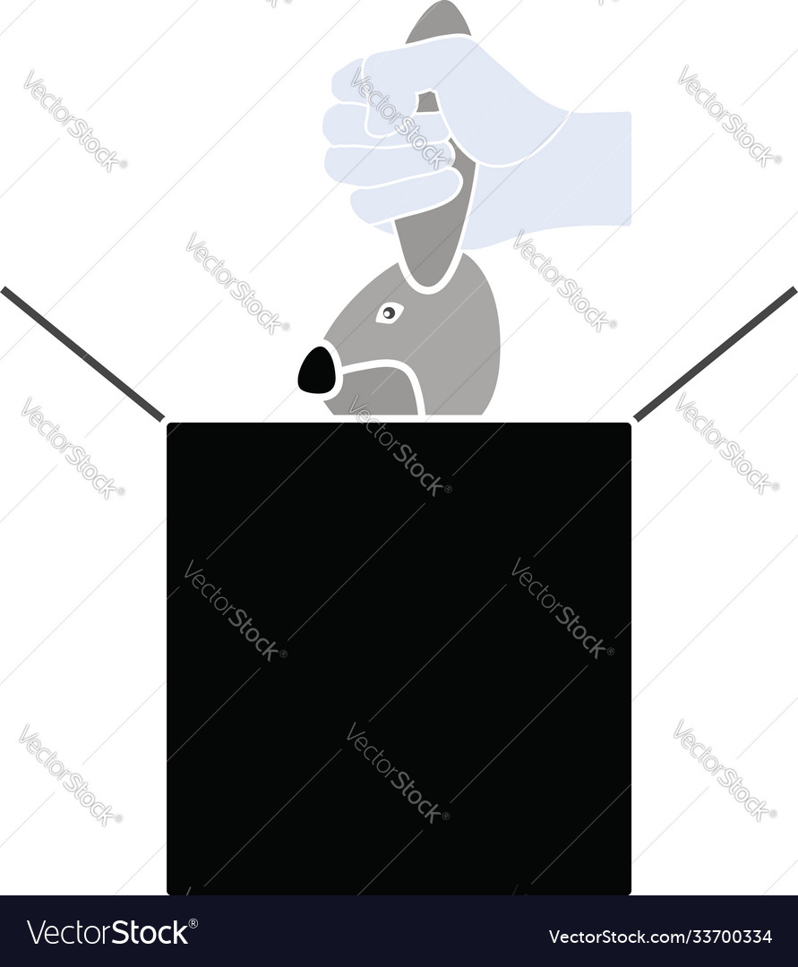 Rabbit In Magic Box Icon Royalty Free Vector Image