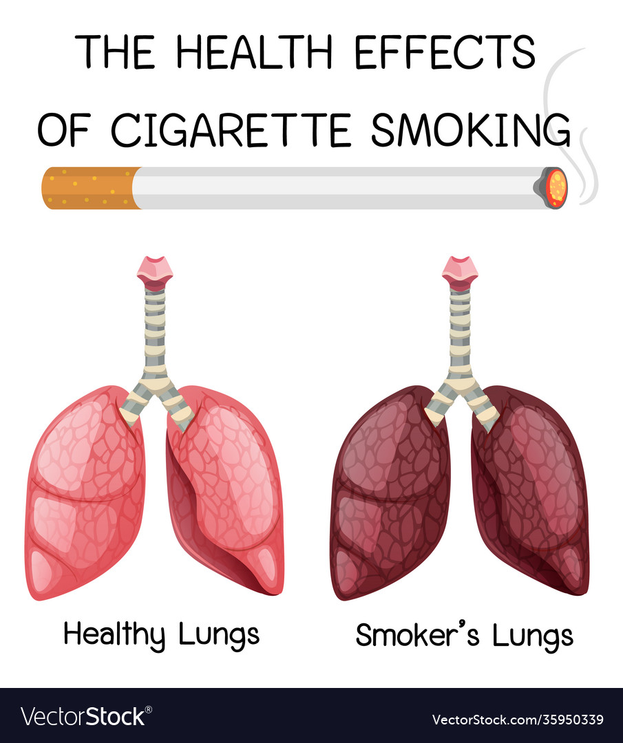 effects of smoking on the lungs