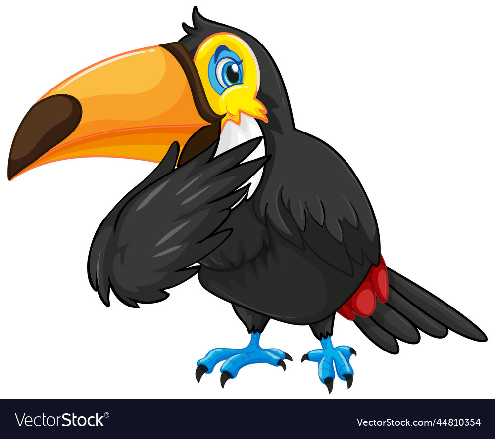 Toucan bird cartoon character Royalty Free Vector Image