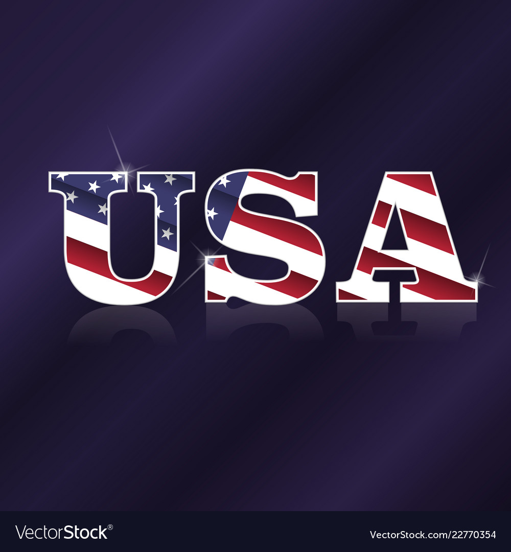 Usa flag symbol vector image Usa flag symbol