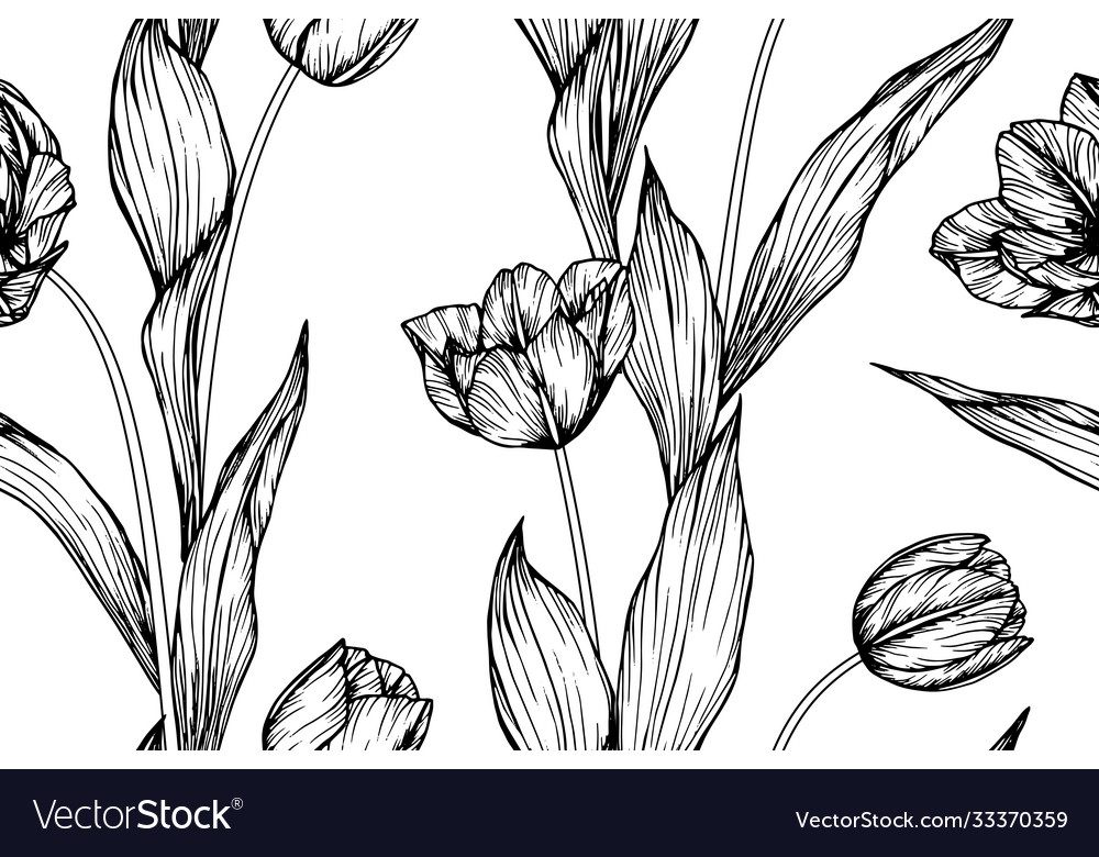 Seamless pattern tulip flower and leaf hand drawn Vector Image