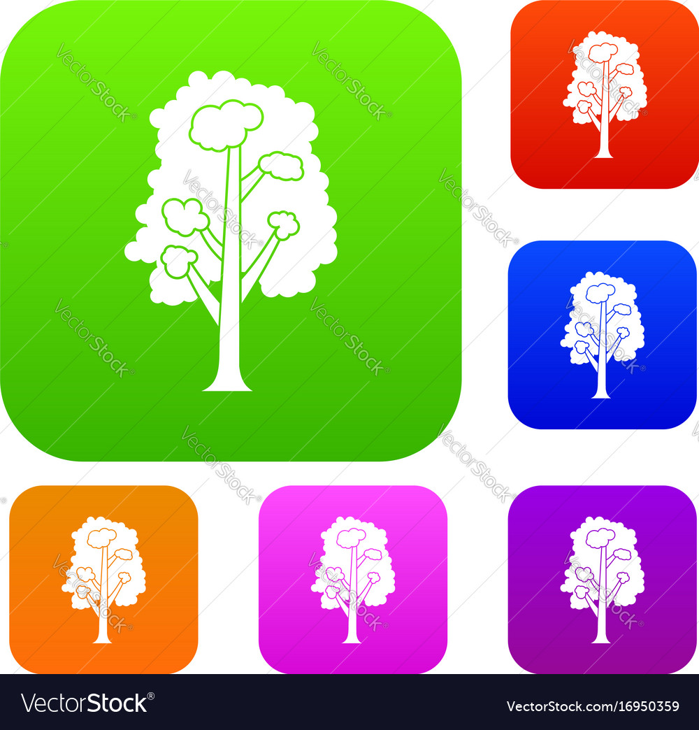 Tree set collection