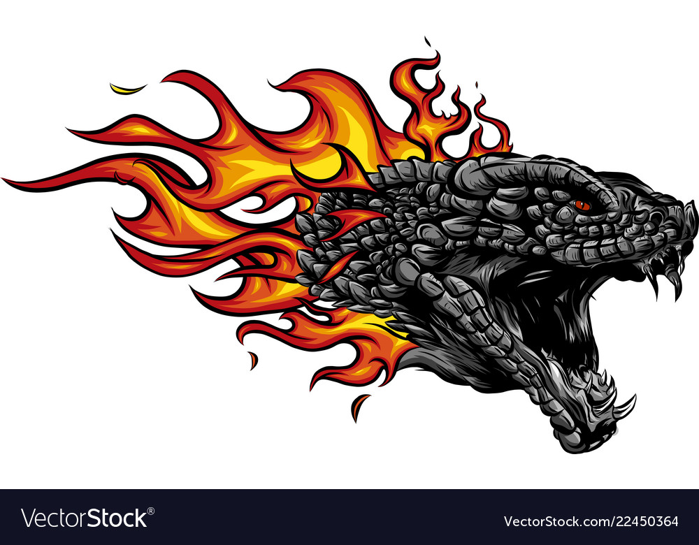 A head dragon in fire with flames Royalty Free Vector Image