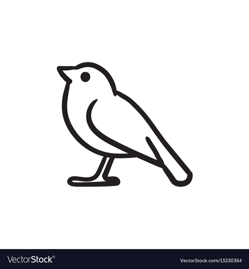 Bird sketch icon Royalty Free Vector Image  VectorStock