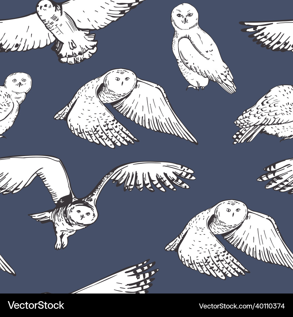 Snowy owls pattern Royalty Free Vector Image - VectorStock
