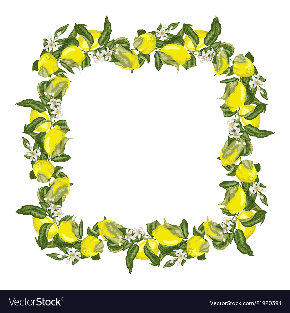 Template square frame wreath with citrus fruit Vector Image