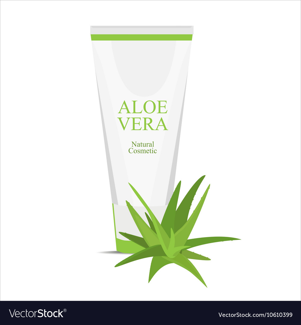 Aloe vera cream Royalty Free Vector Image - VectorStock