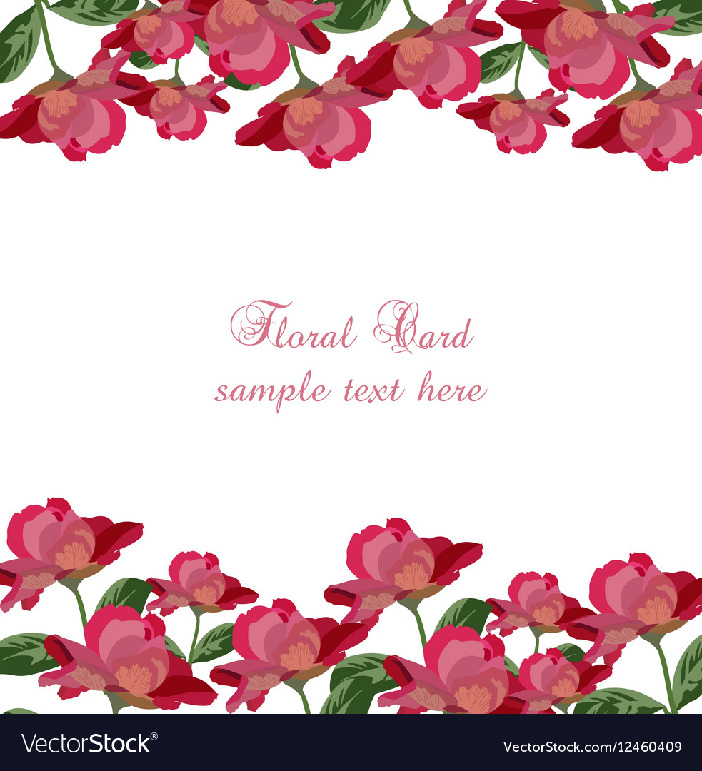 Roses floral card rose flowers banner Royalty Free Vector